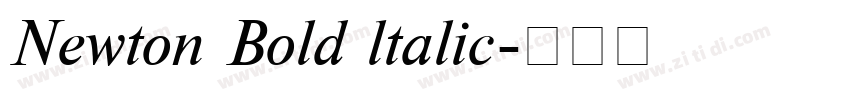Newton Bold ltalic字体转换